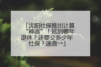 沈阳社保推出计算“神器”！延到哪年退休？还要交多少年社保？速查→
